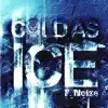 F. Noize - Cold As Ice (Bootleg) - Single